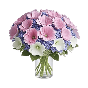 Petal Softness Display