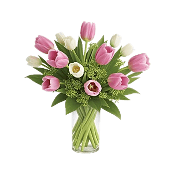 Velvet Tulip Display