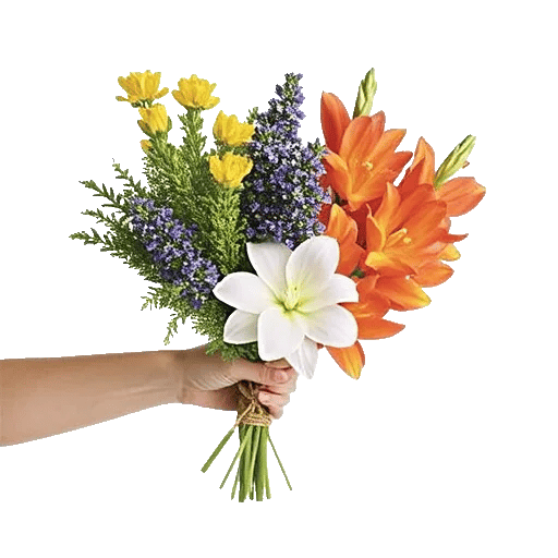 Rosemary Bloom Elegance