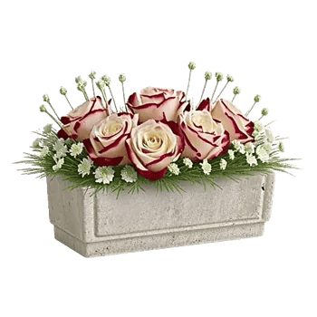 Delicate Petal Cascade