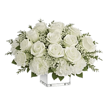 Delicate Petal Cascade