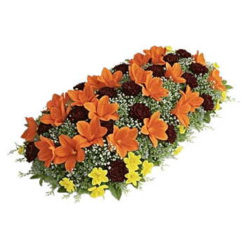 Delicate Petal Cascade