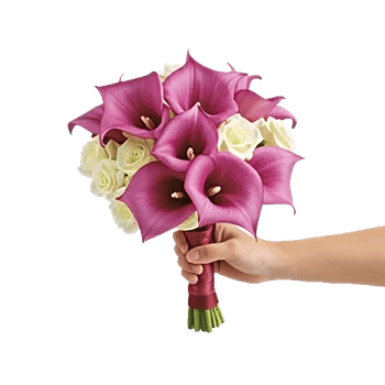 Elegant Calla Lilies