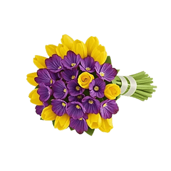 Velvet Tulip Display