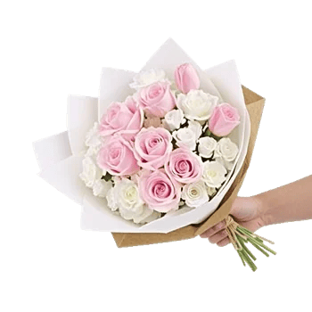 Pastel Pink Roses