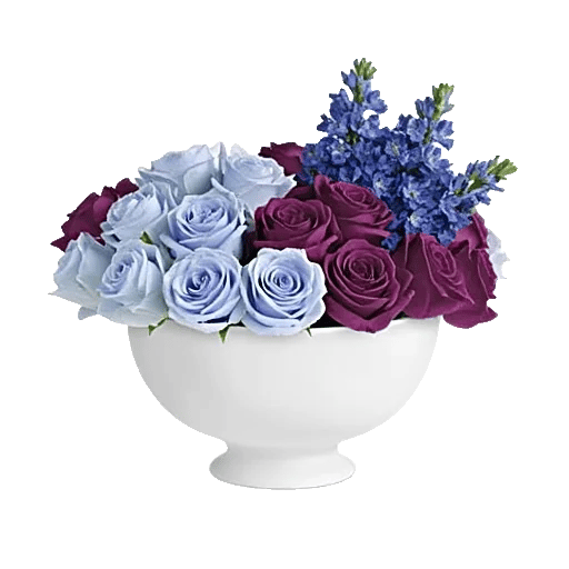 Elegant Blue Roses