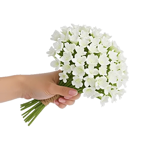 Minimalist White Orchids