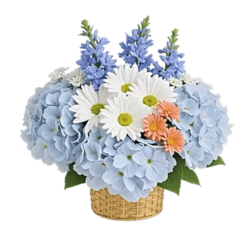 Serene Petal Harmony