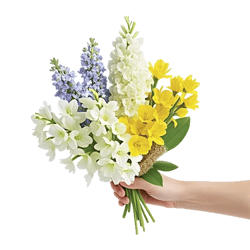 Blossom Harmony Display