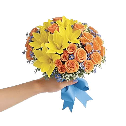 Soft Sunlight Blooms