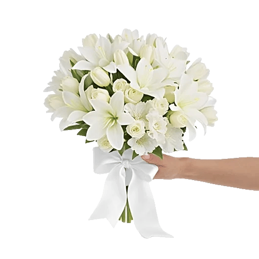 Minimalist White Orchids