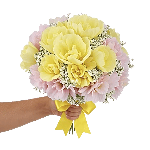 Serene Petal Harmony