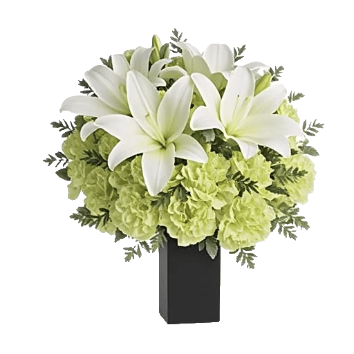 Ivory Blossom Radiance
