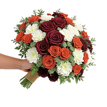 Blushing Rose Symphony