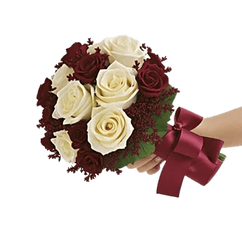 Crimson Rose Elegance