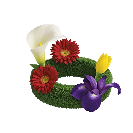 Elegant Calla Lilies