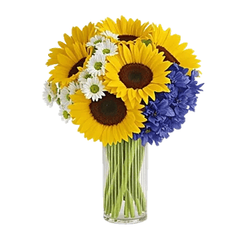 Radiant Bloom Cascade