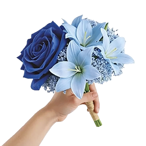 Elegant Blue Roses