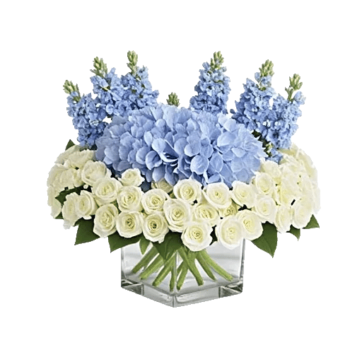 Azure Sky Blooms