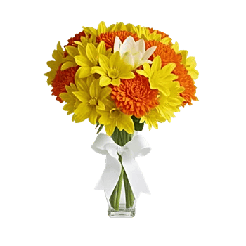Radiant Bloom Cascade