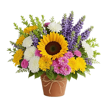 Amber Sunflower Glow