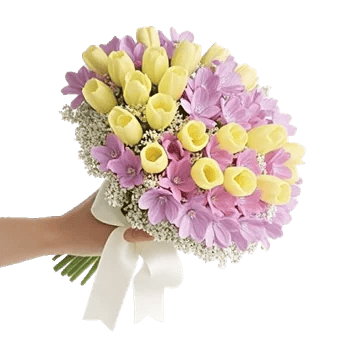 Blossom Harmony Display