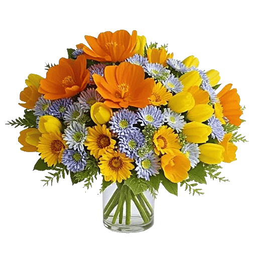 Petal Radiance Bliss