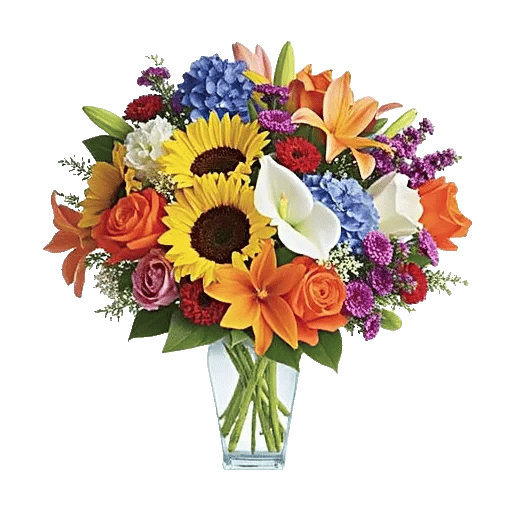 Ivory Blossom Radiance