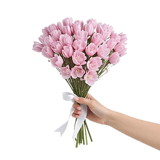 Cherry Blossom Magic