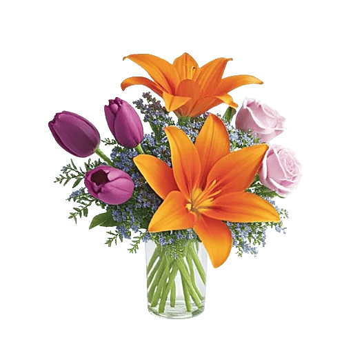 Velvet Tulip Display