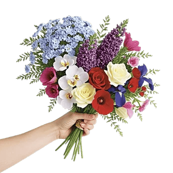 Serene Petal Harmony