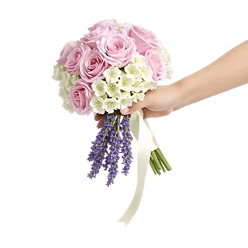 Delicate Petal Cascade