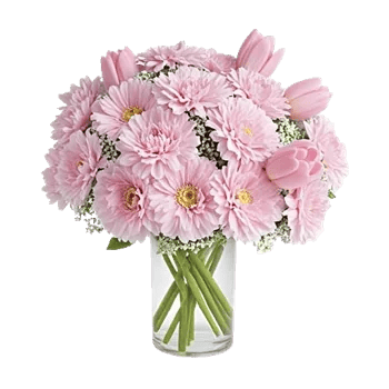 Pink Pastel Roses