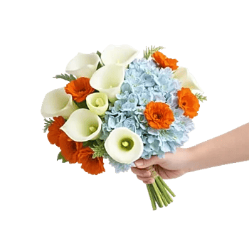 Elegant Calla Lilies