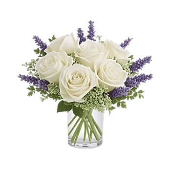Ivory Blossom Radiance