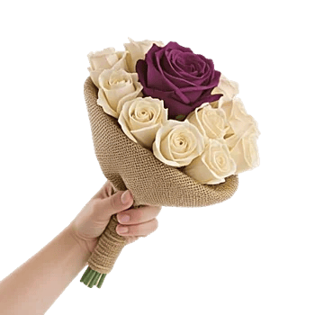 Blushing Rose Symphony