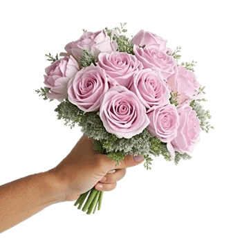 Pastel Pink Roses