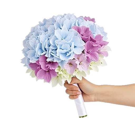 Serene Petal Harmony