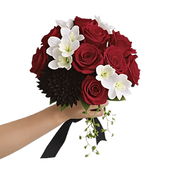 Crimson Rose Elegance