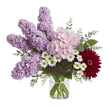 Ivory Blossom Radiance