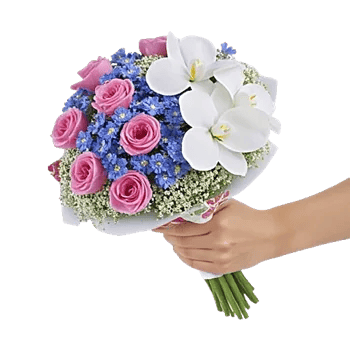 Blossom Petal Serenity