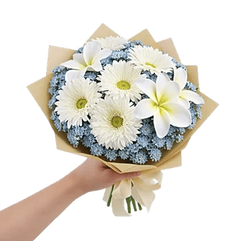 Blossom Petal Serenity