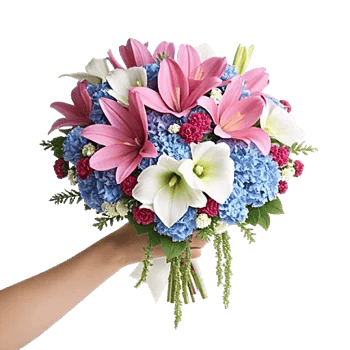 Blushing Rose Symphony