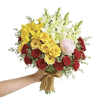 Petal Radiance Bliss