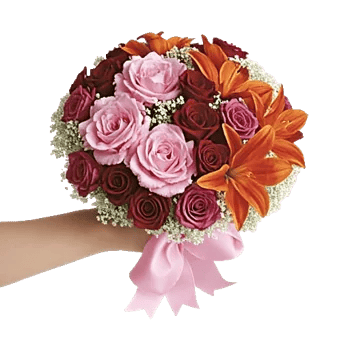 Blushing Rose Symphony