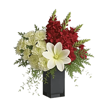 Ivory Blossom Radiance