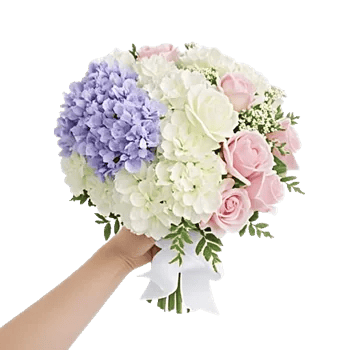 Serene Petal Harmony