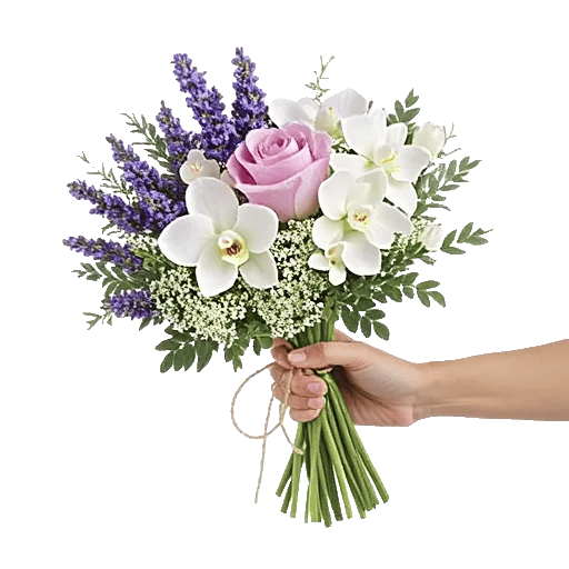 Petal Grace Harmony