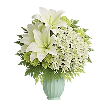 Ivory Blossom Radiance