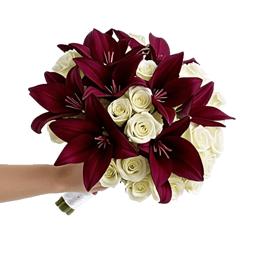 Elegant Calla Lilies